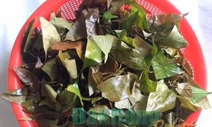 Biăp pŭ – món ăn quen thuộc của người M’nông