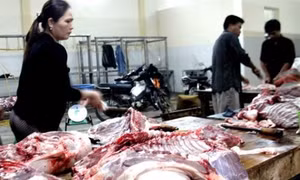 Phú Yên xây dựng cơ sở giết mổ gia súc tập trung đầu tiên tại huyện miền núi Sông Hinh