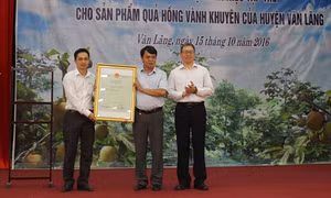 Hồng Vành khuyên Văn Lãng được cấp chứng nhận bảo hộ nhãn hiệu tập thể