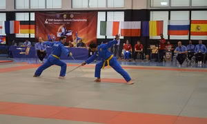 Giải vô địch Vovinam Việt Võ Đạo Châu Âu lần thứ 4 tại Thụy Sĩ