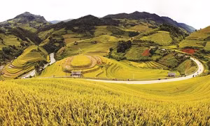 Kỳ vĩ ruộng bậc thang