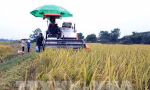 Hà Nội là "vùng trũng" về cơ giới hóa trong nông nghiệp