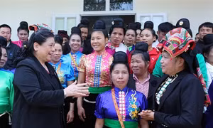 Lãnh đạo Đảng, Nhà nước dự ngày hội Đại đoàn kết toàn dân tộc tại các địa phương