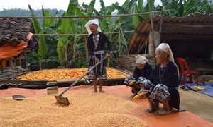 Độc đáo trang phục truyền thống phụ nữ Dao Tiền