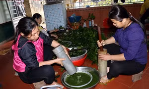 Thơm ngọt vị chè đâm Quỳ Hợp