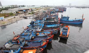 Các tỉnh, thành phố ven biển từ Quảng Ninh đến Khánh Hòa ​chủ động đối phó với diễn biến của bão Aere