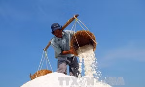 Mua tạm trữ muối để diêm dân bớt gánh nặng