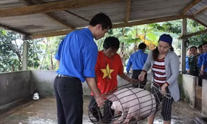 Xuân mới trên bản Rào Tre