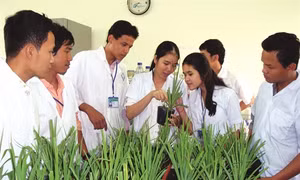 Thứ trưởng Bộ Nội vụ: Nhiều trở ngại khi tinh giản biên chế