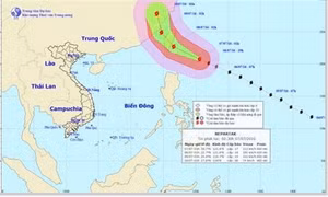 Bão NEPARTAK không ảnh hưởng đến đất liền nước ta