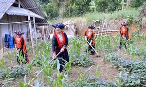 Chính sách trợ giúp pháp lý cho người nghèo, đồng bào dân tộc