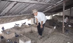 Làm giàu từ mô hình kinh tế tổng hợp