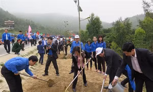 Gần 100.000 lượt người đến viếng mộ Đại tướng Võ Nguyên Giáp