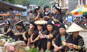 Về miền Tây Cao Bằng khám phá vùng lịch sử, văn hóa đặc sắc