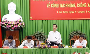 Chỉ thị của Thủ tướng Chính phủ về triển khai các biện pháp cấp bách ứng phó xâm nhập mặn ở ĐBSCL