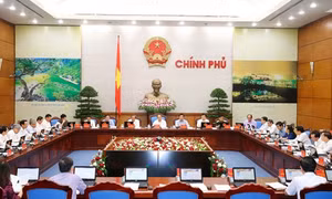 Chính phủ họp phiên thường kỳ tháng 6 năm 2016