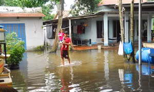 Thành phố Hồ Chí Minh: Cuộc sống của:hơn 500 hộ dân ở Tân Thông Hội bị đảo lộn vì nước ngập kéo dài