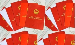 Kiểm tra việc cấp sổ đỏ tại 13 tỉnh, thành phố