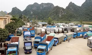 Kim ngạch xuất khẩu qua Cửa khẩu Nà Nưa đạt trên 300 triệu USD