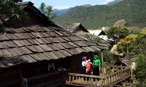 Độc đáo những ngôi nhà sàn làm bằng gỗ pơ mu ở Sơn La