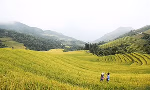 Trải nghiệm thú vị trên cung đường Y Tý
