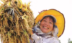 Đổi thay ở huyện vung cao A Lưới