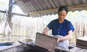 Nghề làm giấy bản ở Lũng Quang (Cao Bằng)