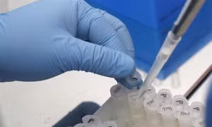 Nghiên cứu, phát triển vắcxin phòng virus Zika đạt bước tiến mới