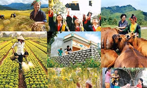 Mục tiêu giai đoạn 2016 – 2020: Giảm tỷ lệ hộ nghèo 1% - 1,5%/năm