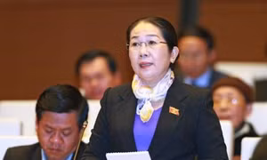 Bộ Chính trị chuẩn y chức danh Phó Bí thư TP.HCM