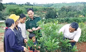 “Lũy thép” nơi biên cương