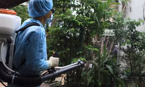 Thêm hai trường hợp mắc Zika tại TP. Hồ Chí Minh