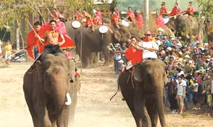 Hội thi voi ở Buôn Đôn