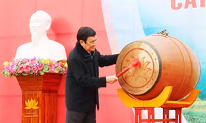 Chủ tịch nước Trương Tấn Sang phát động “Tết trồng cây đời đời nhớ ơn Bác Hồ” tại Tuyên Quang