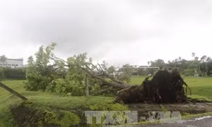 Fiji: Số người thiệt mạng do bão Winston tiếp tục tăng