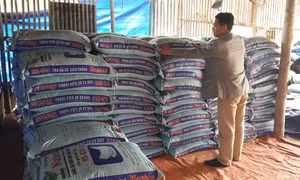 Quý Hiền - Hợp tác xã kiểu mới điển hình của cả nước