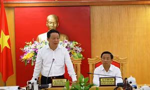 Kiểm tra thực tế việc khắc phục hậu quả vi phạm và thực hiện các cam kết của Công ty Formosa