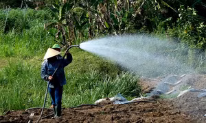 Thủy điện An Khê - Ka Nak xả nước phục vụ sản xuất và sinh hoạt cho hạ du sông Ba