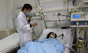 Kết quả điều tra ban đầu vụ tai nạn lao động khi đốt lò vôi, khiến 8 người tử vong.