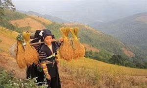 Sản vật đặc hữu từ tinh túy đất trời và bàn tay cần cù lao động