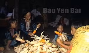Lễ mừng cơm mới của đồng bào Mông ở Hồng Ca (Yên Bái)