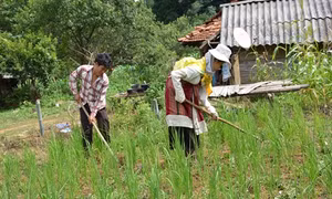 Đổi thay ở xã vùng biên tỉnh Sơn La