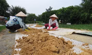 Quảng Bình: Nhiều khó khăn trong khôi phục sản xuất sau lũ