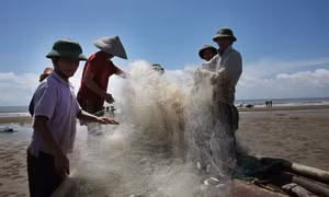 Làng chài Ngư Lộc