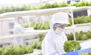 Nông trại hoàn toàn tự động hóa đầu tiên trên thế giới