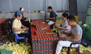 Thành công từ mô hình hợp tác xã kiểu mới