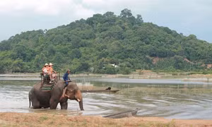 Đắk Lắk: Bảo tồn vùng nước nội địa sông Krông Ana - Cần có phương thức quản lý phù hợp