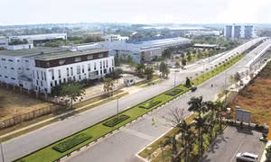 Kỷ niệm 40 năm Thành phố Hồ Chí Minh mang tên Bác: Bài 3 - Để mãi xứng danh thành phố mang tên Người