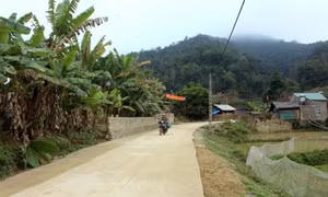 Sắc xuân trên những vùng nông thôn mới
