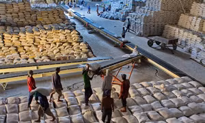 Thương hiệu gạo giúp tăng sức cạnh tranh